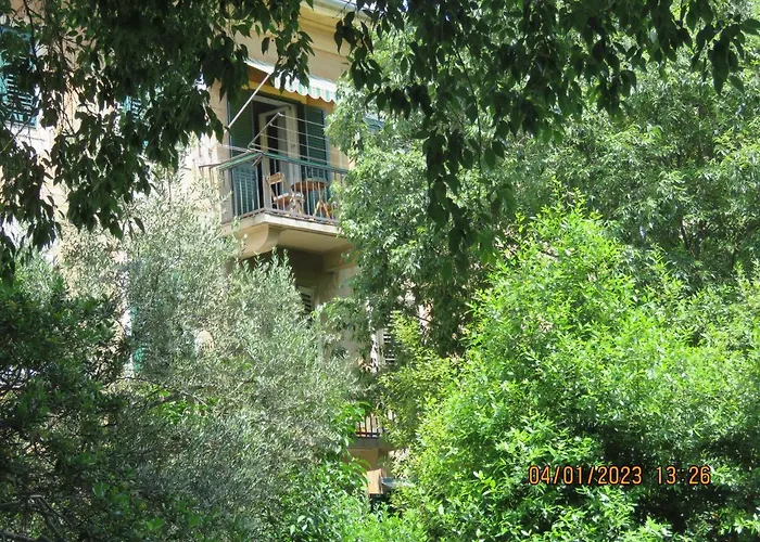 아파트 Peacock 스플리트